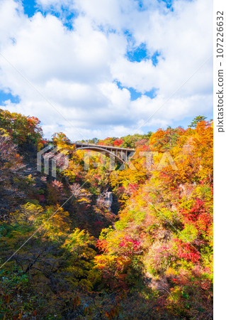 Naruko Gorge (autumn) 107226632