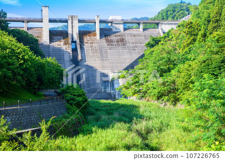 愛鶴水壩仲夏風景 秩父市上吉田市 愛鶴水壩仲夏風景 秩父市上吉田市 107226765