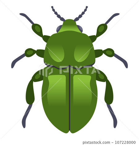 large green dung beetle. 107228000