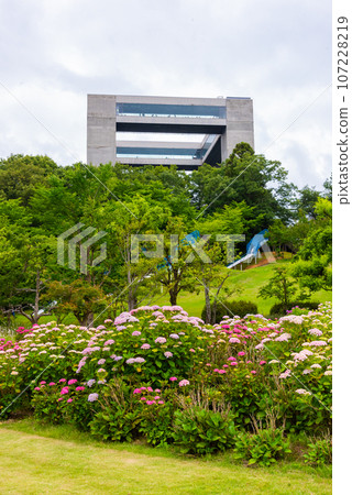 Taikesan Land 107228219