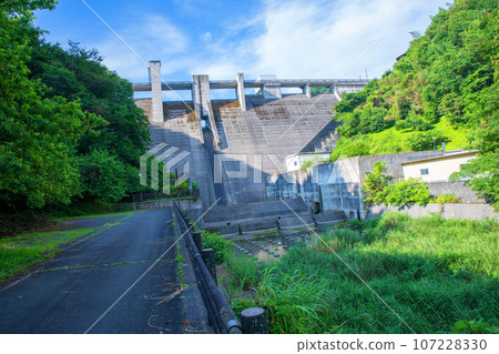 愛鶴水壩仲夏風景 秩父市上吉田市 107228330