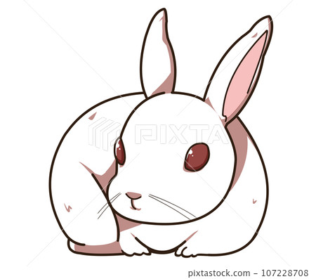 小白兔蜷縮著 107228708