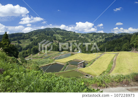 Scenery of Yamakoshi Village 107228973