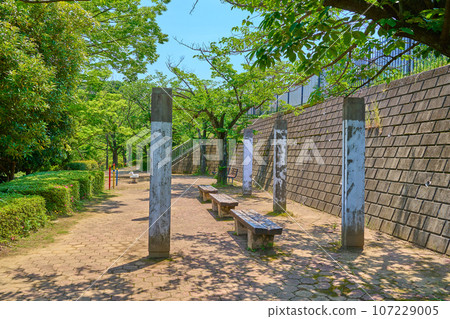 東京稻城東長沼七曲三春兒童公園的新綠 107229005