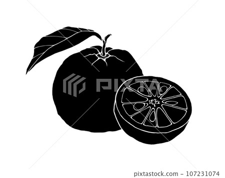 Silhouette illustration of yuzu (whole and cut in half) 107231074