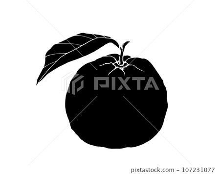 Silhouette illustration of yuzu with leaves Silhouette illustration of yuzu with leaves 107231077