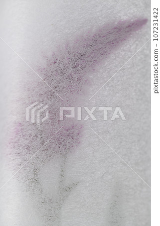 Background material of Japanese paper and celosia (cockscomb) Background material of Japanese paper and celosia (cockscomb) 107231422