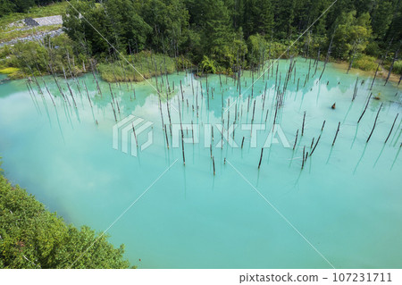 Aerial view of Shirogane Blue Pond in Biei, Hokkaido Aerial view of Shirogane Blue Pond in Biei, Hokkaido 107231711