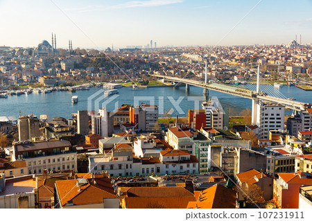 Aerial view of Istanbul Aerial view of Istanbul 107231911