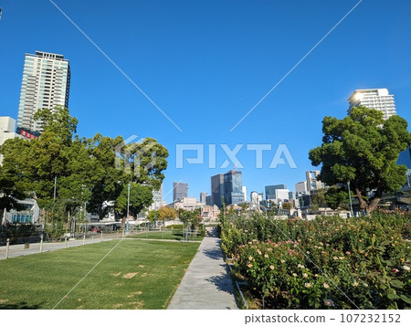 中之島公園2 107232152