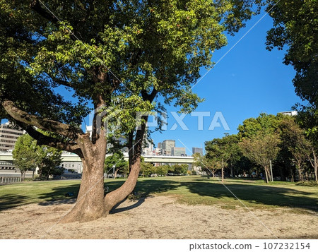 中之島公園3 中之島公園3 107232154