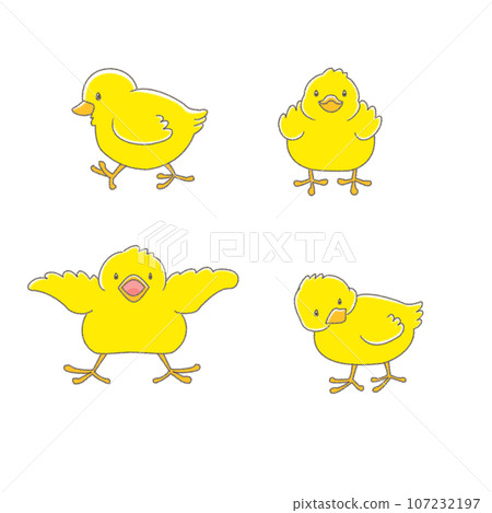 Cute chick set Cute chick set 107232197