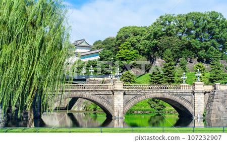 皇宮正門石橋和伏見角樓 107232907