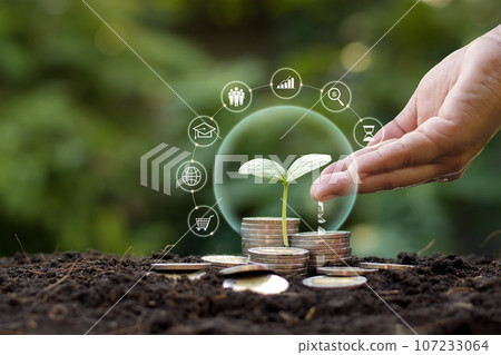 Tree on money and finance icon. Concept of money growth, business, and investment. Tree on money and finance icon. Concept of money growth, business, and investment. 107233064