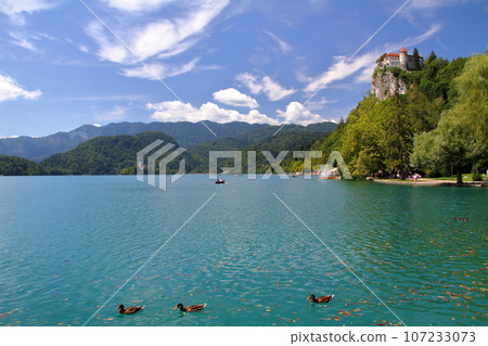 Lake Bled in Slovenia, southern Europe. Bled Castle stands on a cliff on the turquoise shore of the lake. Lake Bled in Slovenia, southern Europe. Bled Castle stands on a cliff on the turquoise shore of the lake. 107233073