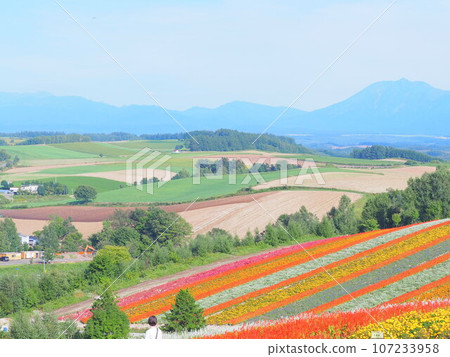 Spectacular views of Hokkaido: Views of Shikisai no Oka in Biei Town 107233958