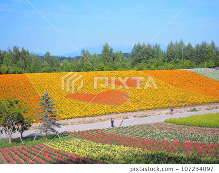 北海道的壯麗景色:美瑛町四季彩之丘的景色 北海道的壯麗景色:美瑛町四季彩之丘的景色 107234092