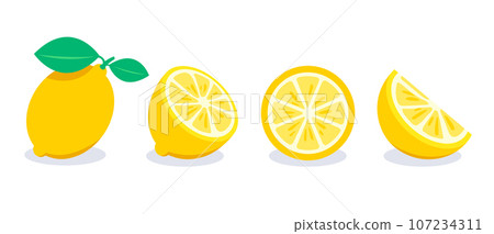 Set of Yellow lemon vector illustration Set of Yellow lemon vector illustration 107234311