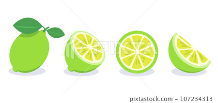 Set of green lemon vector illustration Set of green lemon vector illustration 107234313
