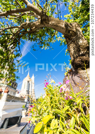 泰國黎明寺鄭王廟（拍攝於2023年） 107234439