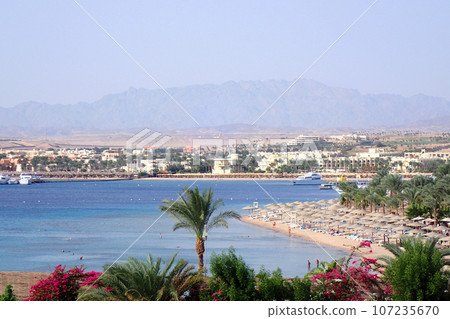 beach in the Egypt 107235670