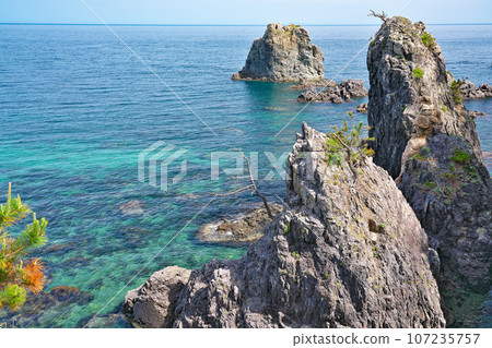 [Aomi Island Nature Research Trail] Shizuura, Senzaki, Nagato City, Yamaguchi Prefecture 107235757