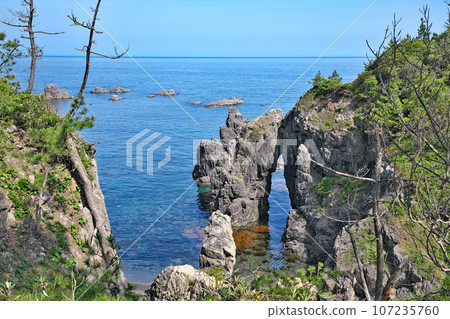 [Aomi Island Nature Research Trail] Shizuura, Senzaki, Nagato City, Yamaguchi Prefecture 107235760