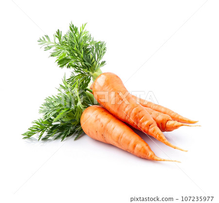 Carrots on white backgrounds. Carrots on white backgrounds. 107235977