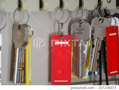 一串鑰匙掛在鑰匙盒裡 107236073