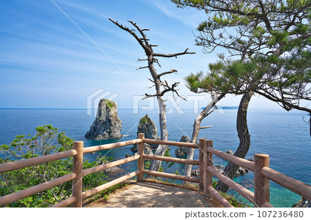 [青海島自然研究路線] 山口縣長門市仙崎靜浦 107236480