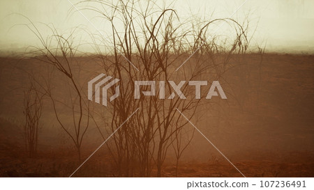 Storm of dust and sand in desert 107236491