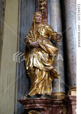 Saint Elizabeth on Sacred Heart of Jesus altar in Barmherzigenkirche church in Graz, Styria, Austria 107236972
