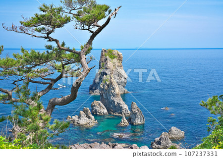 [青海島自然研究路線] 山口縣長門市仙崎靜浦 107237331