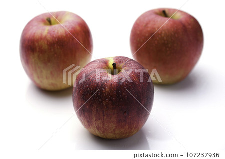 秋季水果之王蘋果蘋果（白底、白底） 107237936