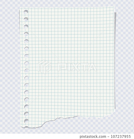 Blank checkered paper with torn edge Blank checkered paper with torn edge 107237955