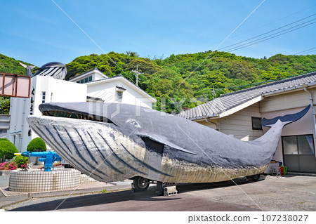 [Whale Museum] Nagato City Street, Yamaguchi Prefecture 107238027
