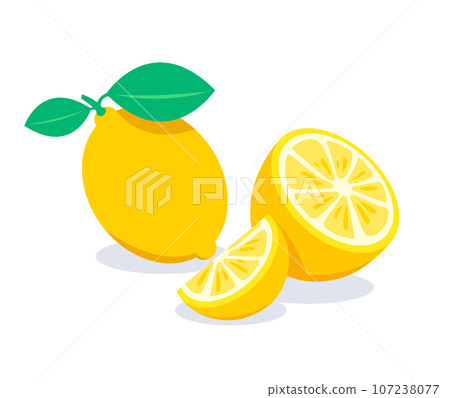 Yellow lemon vector illustration Yellow lemon vector illustration 107238077