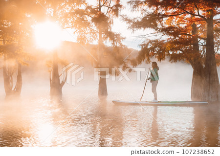 Woman on SUP board at lake with morning fog and autumnal Taxodium distichum trees 107238652