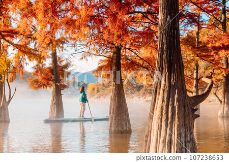 Woman on SUP board at lake with morning fog and autumnal Taxodium distichum trees Woman on SUP board at lake with morning fog and autumnal Taxodium distichum trees 107238653