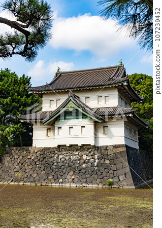 皇宮白樺門 107239452