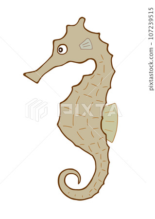 Seahorse's illustration 107239515