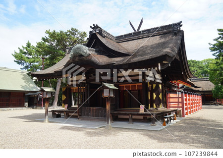 夏末的住吉大社、國寶住吉造 107239844