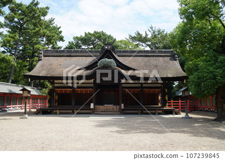 夏末的住吉大社，莊嚴的主社 107239845