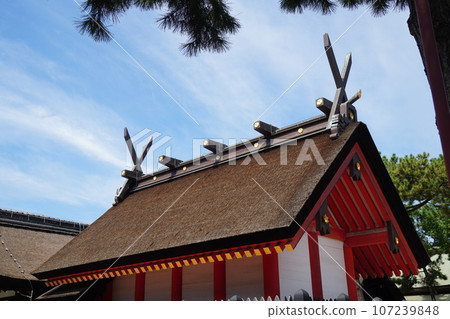 夏末的住吉大社正殿上美麗的朱紅色 夏末的住吉大社正殿上美麗的朱紅色 107239848