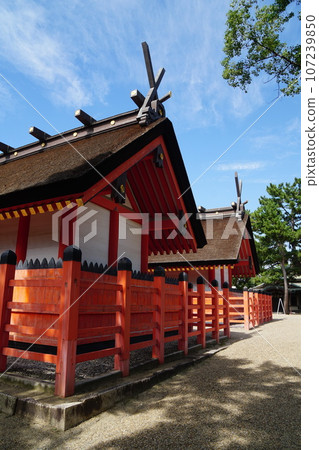 夏末的住吉大社國寶本殿 夏末的住吉大社國寶本殿 107239850