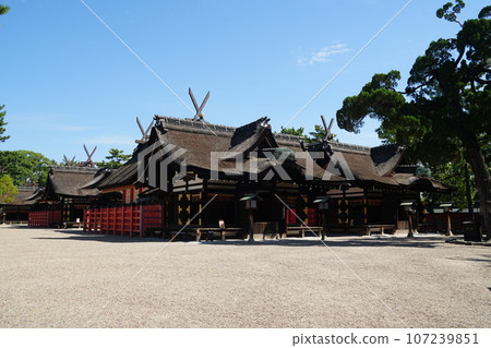 夏末的住吉大社國寶本殿 夏末的住吉大社國寶本殿 107239851