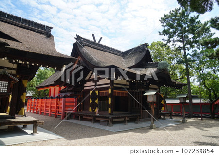 夏末的住吉大社國寶本殿 107239854