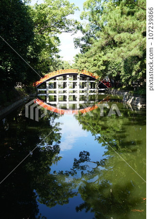 Sumiyoshi Taisha Shrine in late summer, the symbolic Taiko Bridge 107239866
