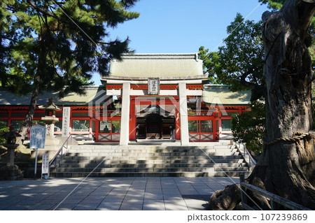 夏末的住吉大社 107239869