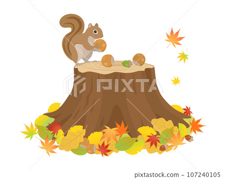 Stump and squirrel_autumn image 107240105